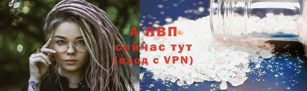 дмт Новокубанск