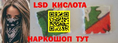шишки Заволжье