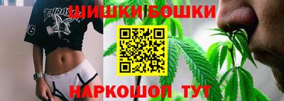 шишки Заволжье