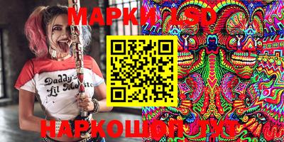 шишки Заволжье