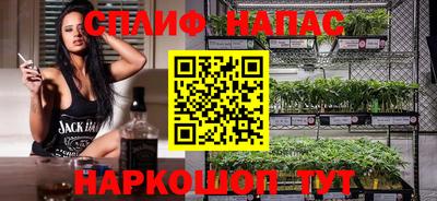шишки Заволжье