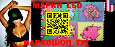 шишки Заволжье