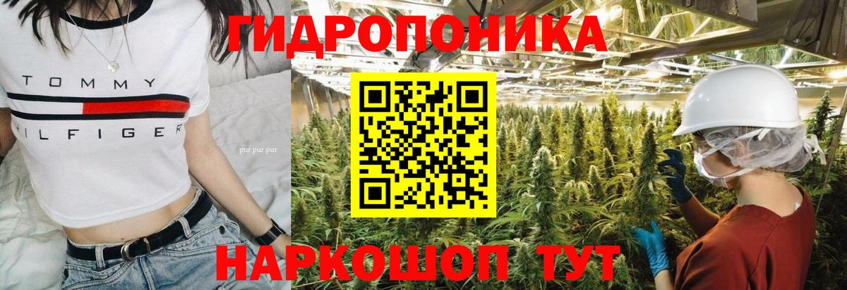 Шишки марихуана индика  Вход с VPN  Орск  Канабис SATIVA & INDICA 